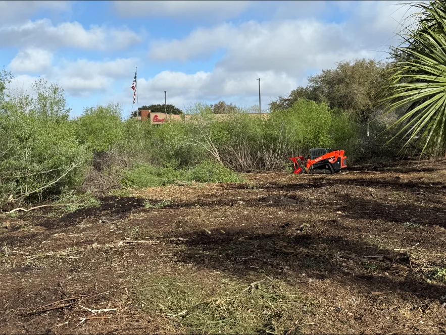 Forestry mulcher clearing dense brush behind a commercial property