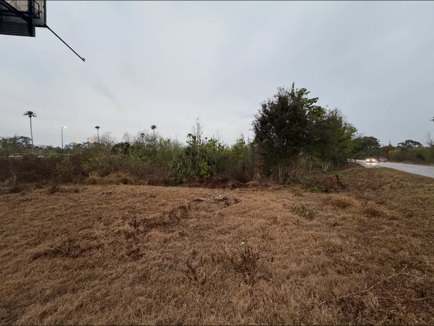 Cleared roadside grounds beside remaining brush