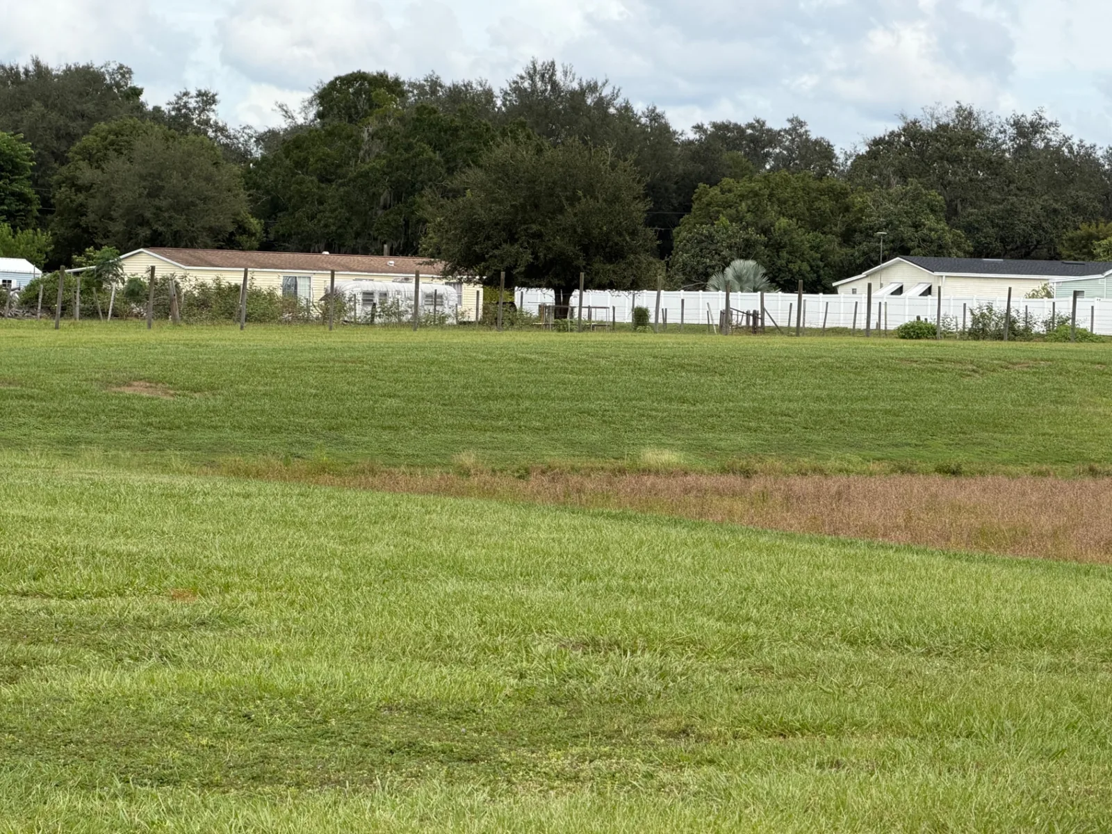 Cleanly mowed slope beside a retention pond