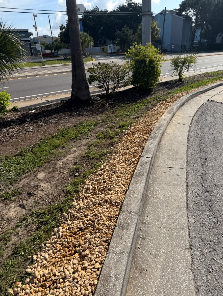 Fresh rock bed and mulched trees at a roadside median