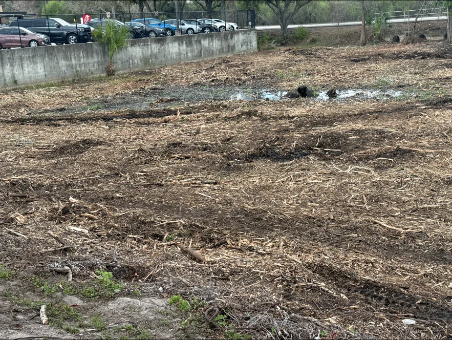 Freshly cleared and mulched lot beside a commercial retaining wall