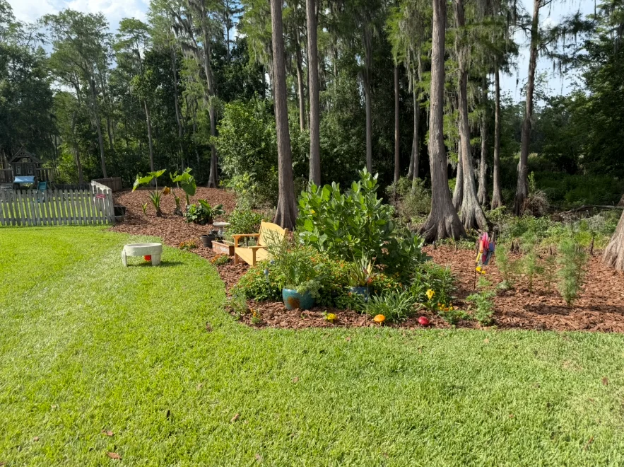 Fresh mulch bed with plantings along a wooded backyard
