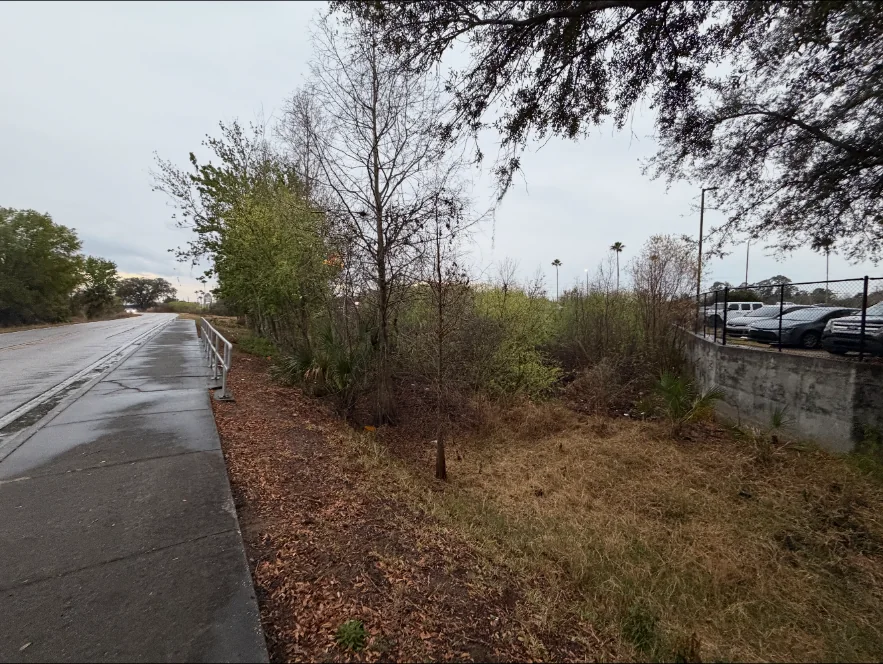 Overgrown roadside property before clearing