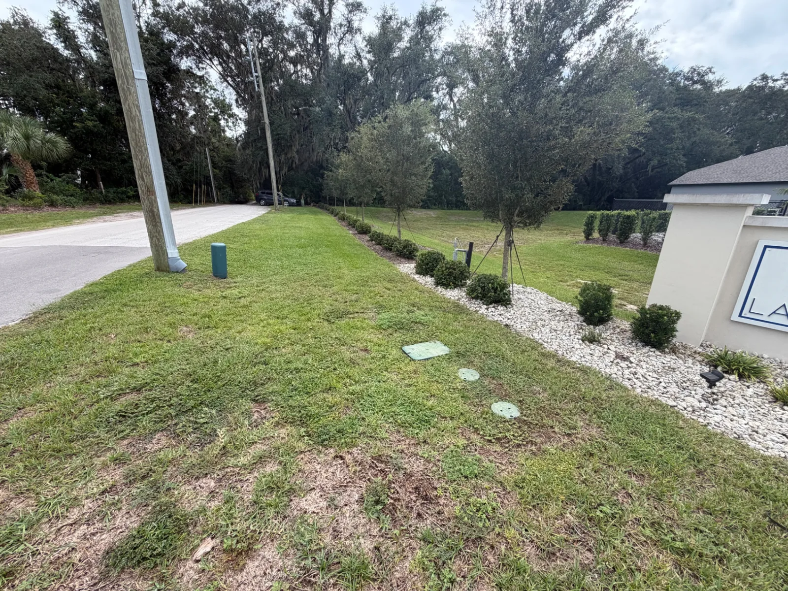 Roadside common area with rock bed and young oaks