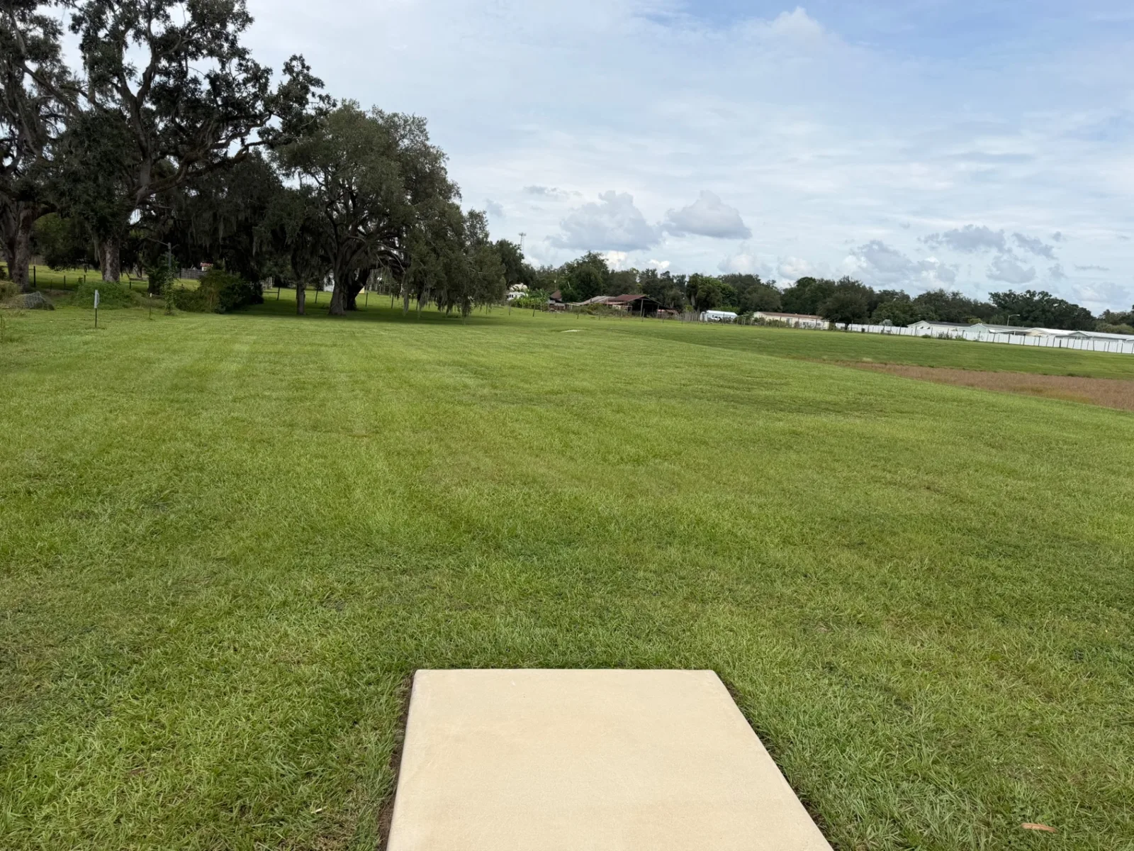 Wide, freshly striped community green space
