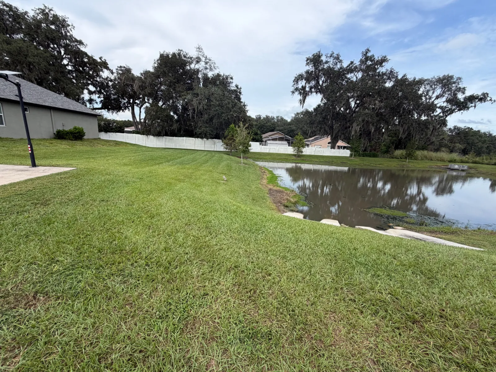Striped, freshly mowed retention pond lawn