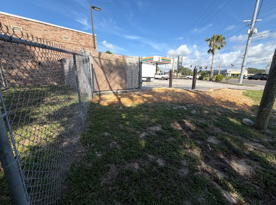 Fresh groundcover along a commercial fence line