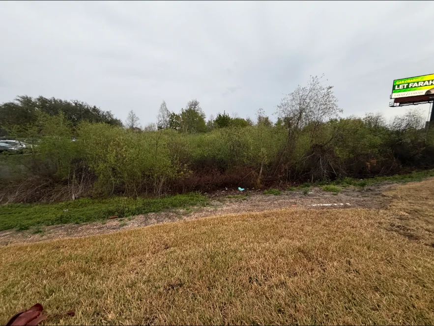 Roadside brush and overgrowth before land clearing