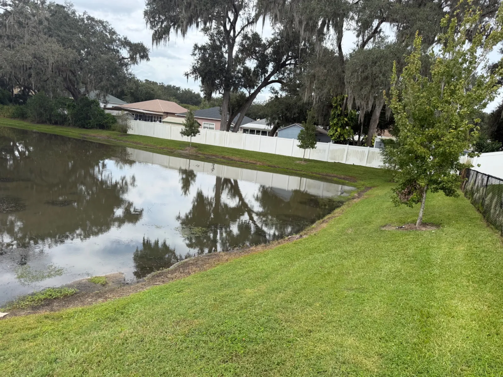 Freshly cut grass along a community retention pond