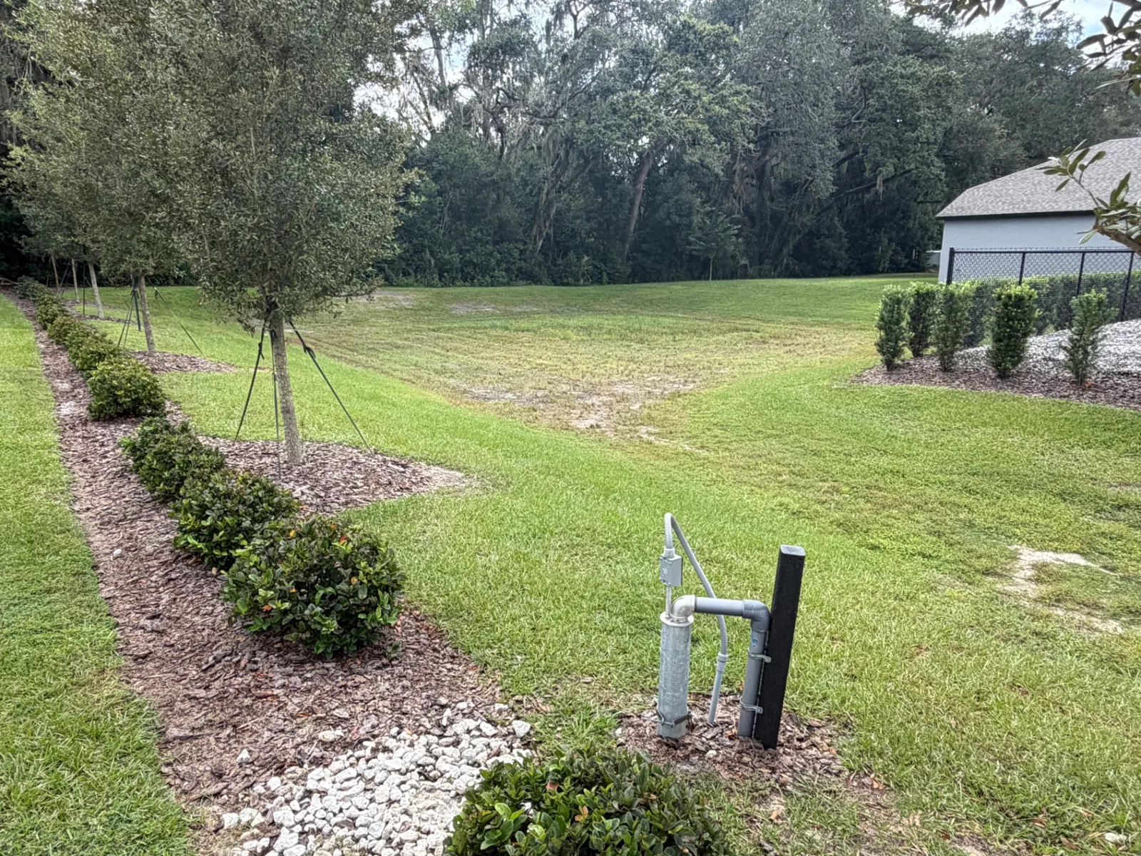 Mulched tree line and mowed common area behind homes