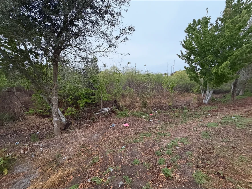 Brush and debris area prepared for land clearing