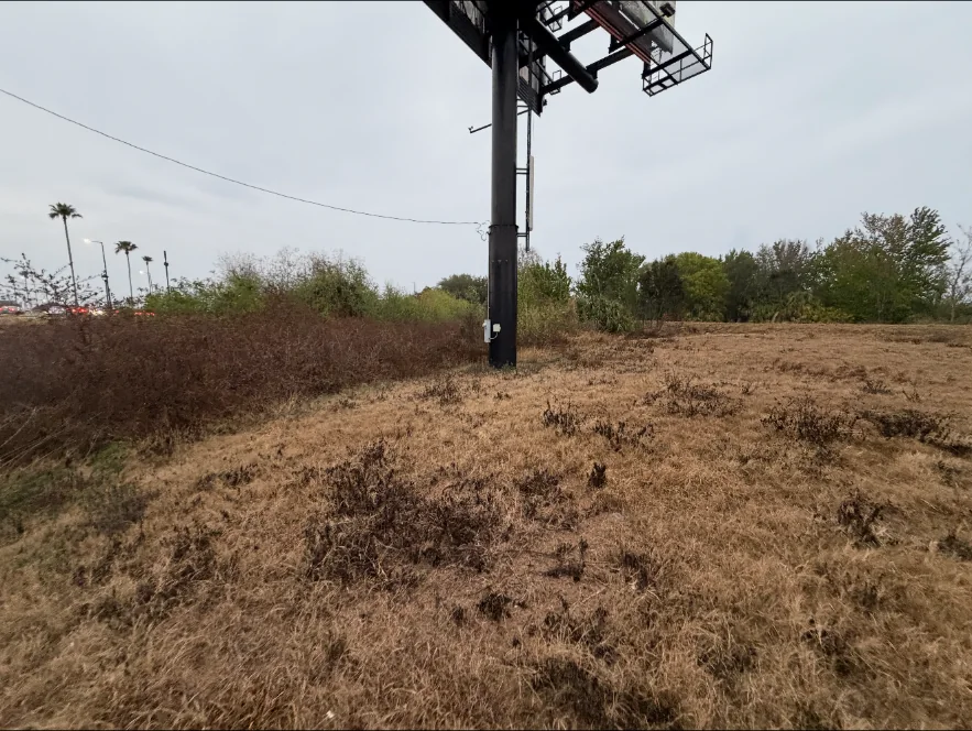 Cleared commercial roadside area beneath a billboard