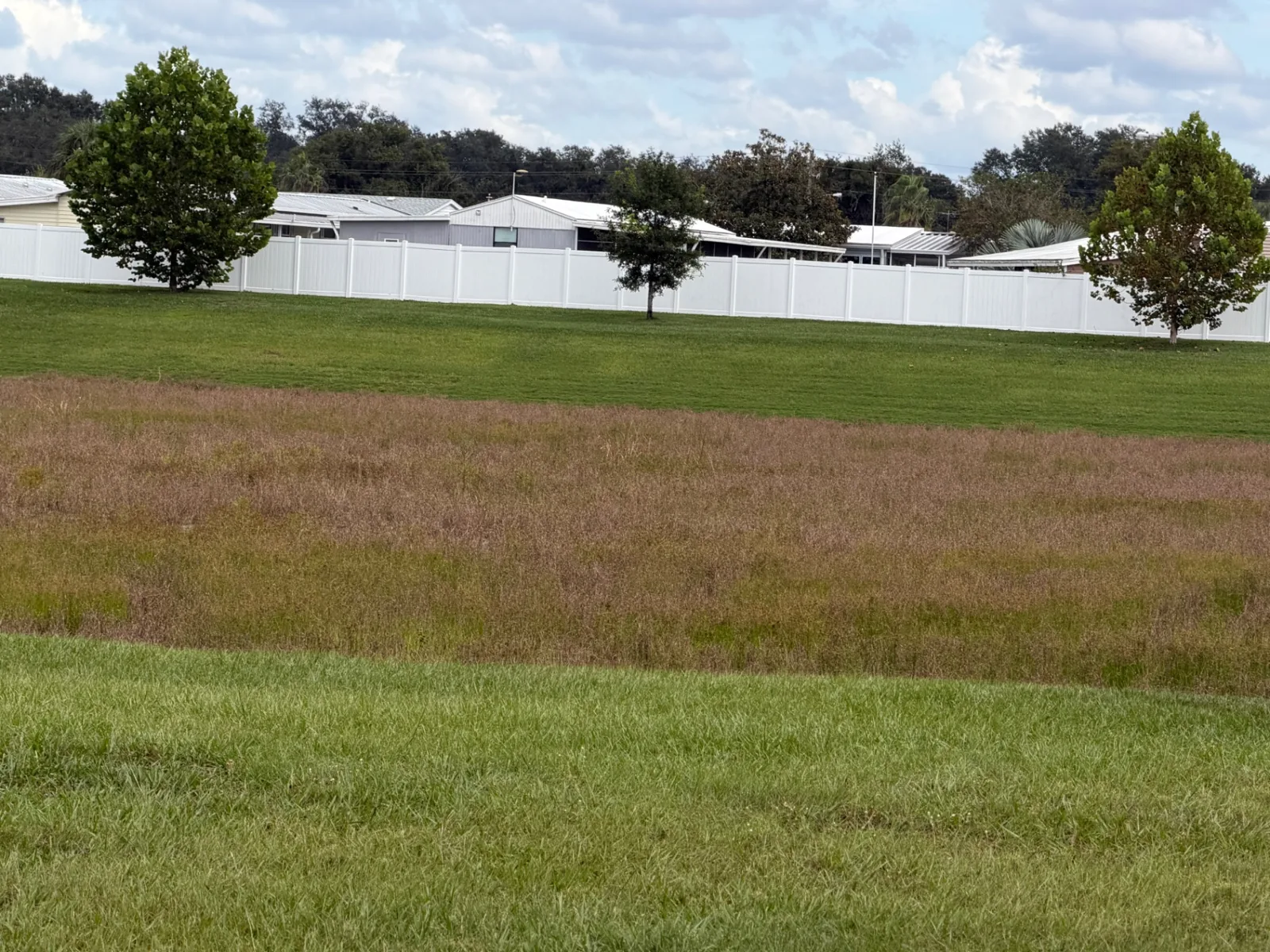 Maintained turf around a community retention pond