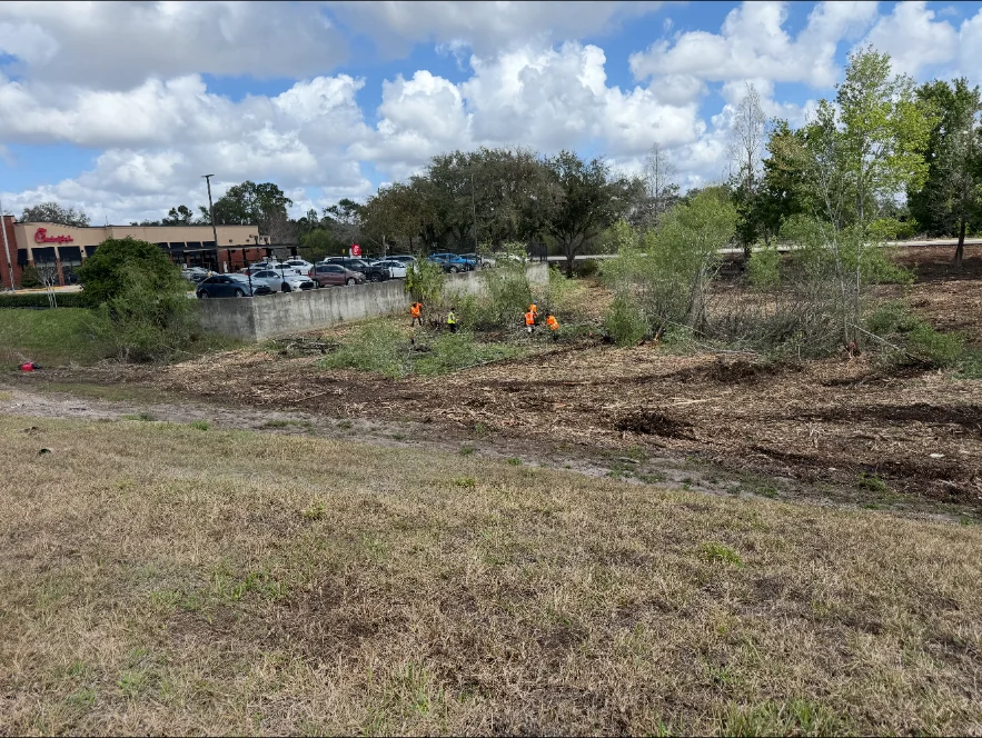 Crew clearing overgrowth beside a restaurant parking lot